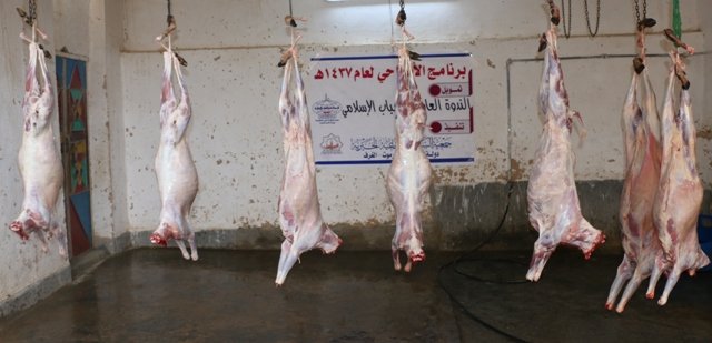 استفادت منه  ( 300 )أسرة بإجمالي ( 2309 ) فرداً جمعية السبيل تختتم مشروع الأضاحي لعام 1437 هـ